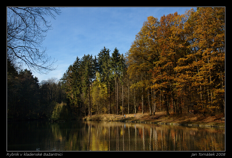 Rybník v kladenské Bažantnici